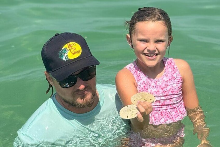 Dive for sand dollars- Clearwater Beach