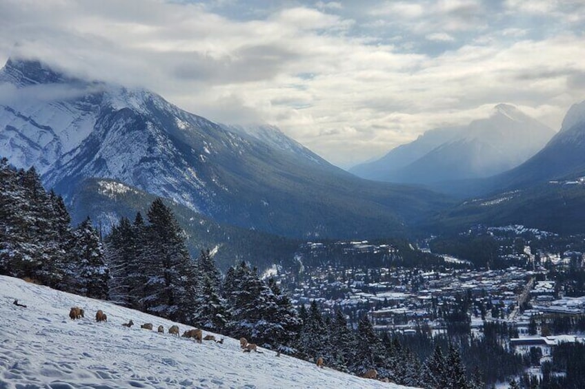 Discover Banff National Park - Day Trip