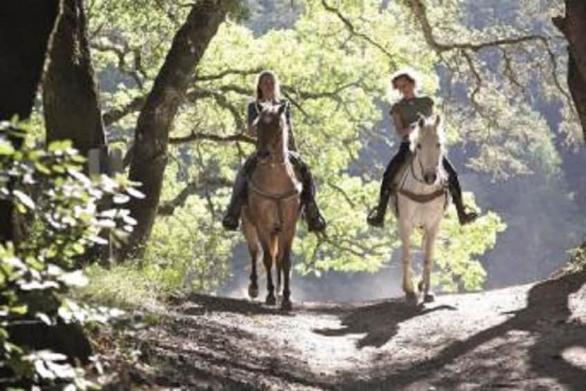 Two horseback riders on a trail