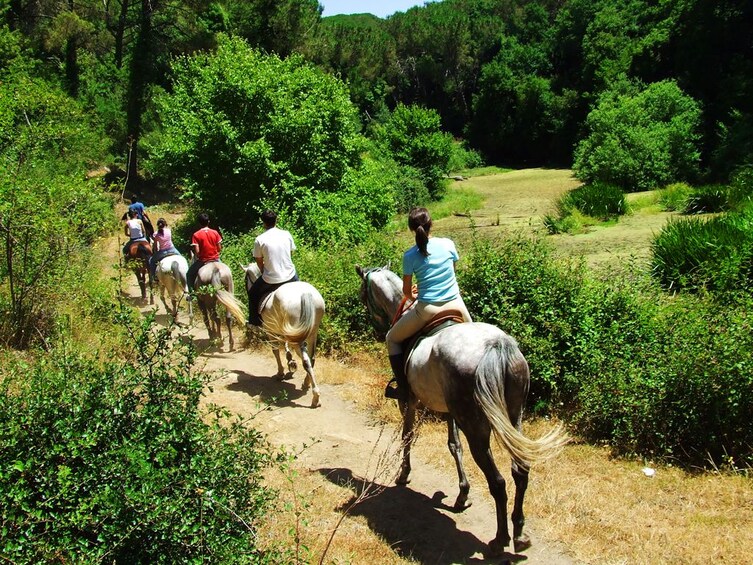 Riders on horseback