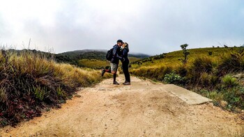 All-Inclusive Horton Plains & Tea Tour from Nuwara Eliya