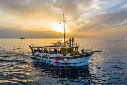 3-Hour Sunset Dolphin Spotting and Dinner in Medulin Archipelago