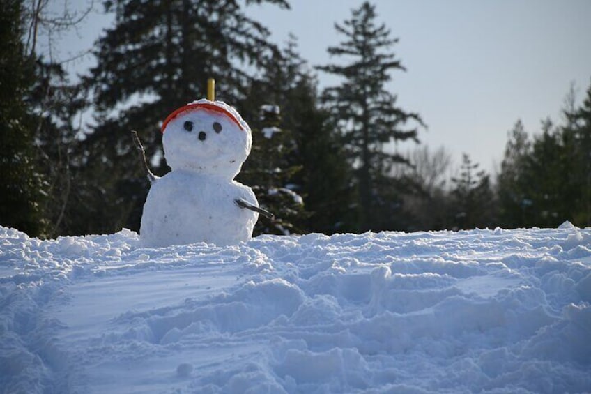 Winter in Bakuriani