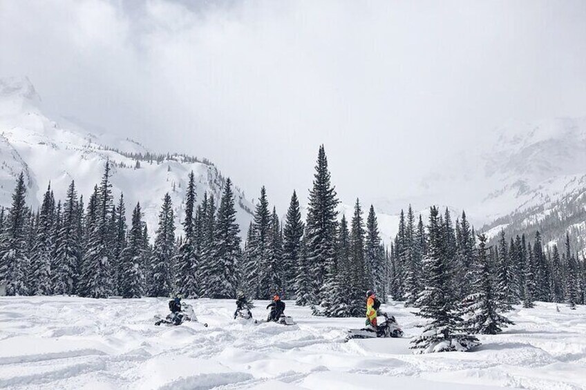 Take a snowmobile ride in Bakuriani