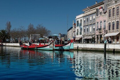 Moliceiro Boat Tour on the Ria de Aveiro