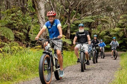 Fat Tire E-Bike Tour durch den Volcanoes National Park