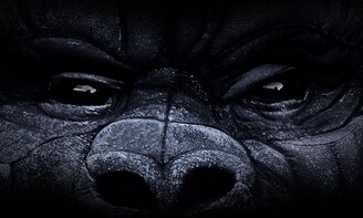 King Kong on Broadway