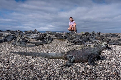 伊莎贝拉II火焰冒险岛-西北(周四至周一)
