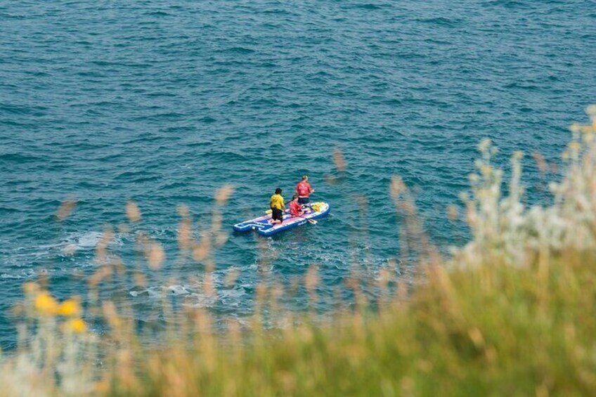 Giant Stand Up Paddle Boarding Experience in Newquay