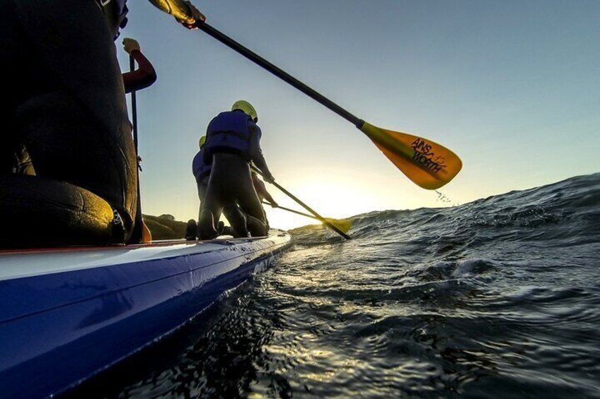 Giant Stand Up Paddle Boarding Experience in Newquay