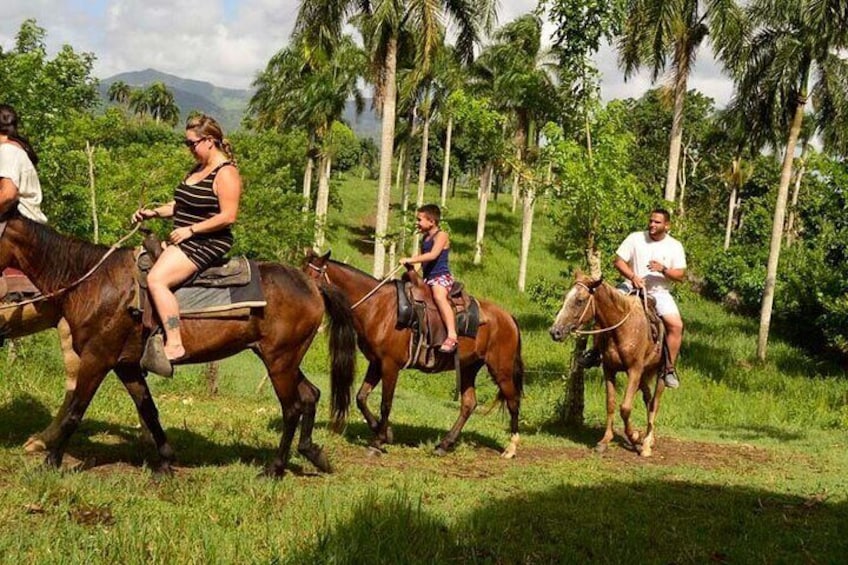 Guided Horseback Ride On The Beach With Pickup From Punta Cana