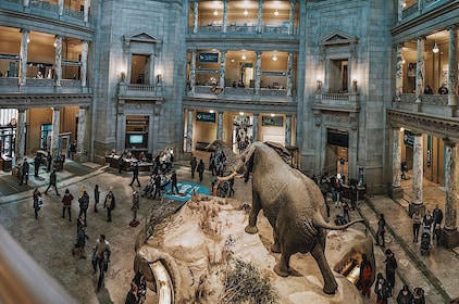 Smithsonianin luonnonhistoria asiantuntijaoppaan kanssa
