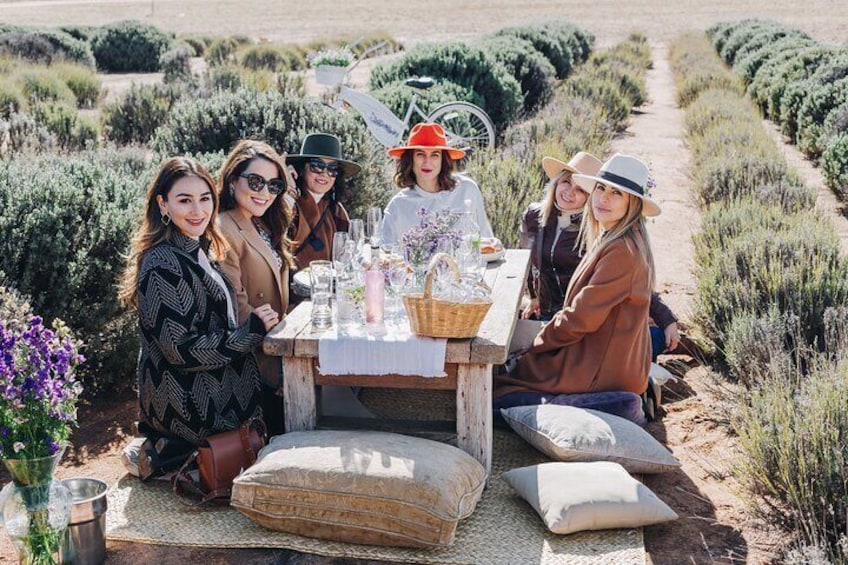 Picnic and Private Tasting in Campo de Lavanda