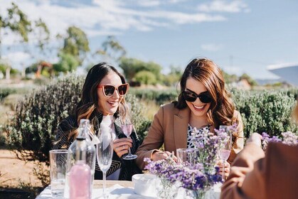 Picknick und private Verkostung in Campo de Lavanda