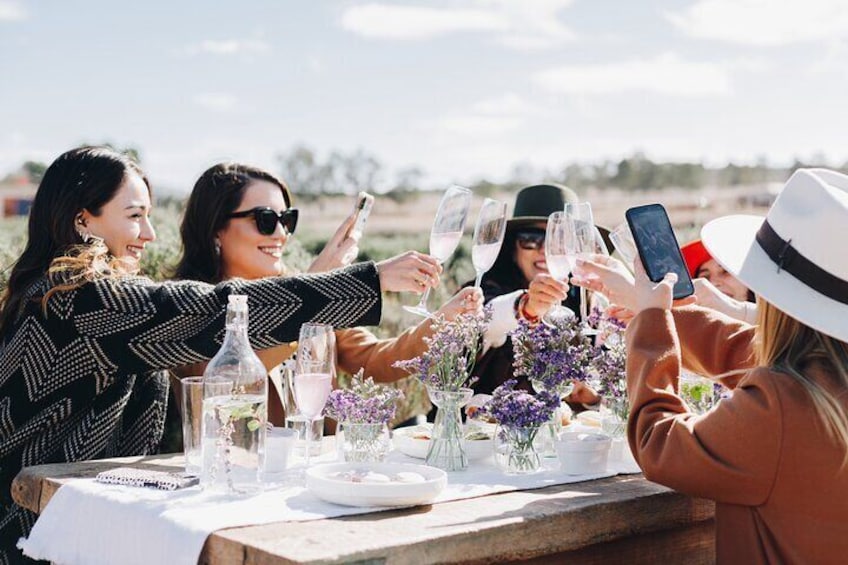 Picnic and Private Tasting in Campo de Lavanda