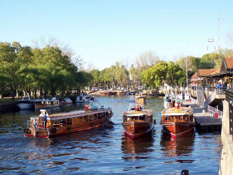 Shore Excursion: Small Group Tigre Delta Tour from BA