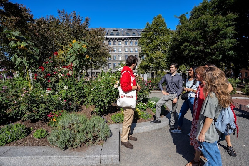 Boston Small Group History & Highlights Walking Tour