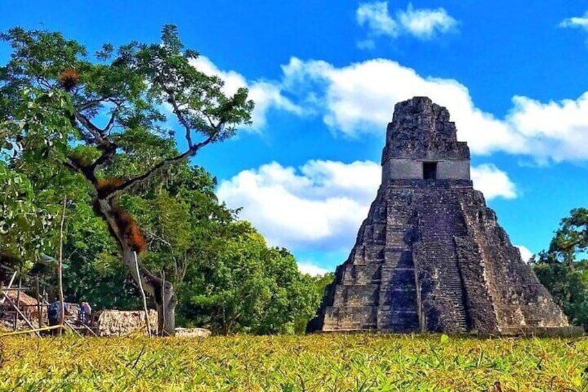 Tikal Day Tour From Belize