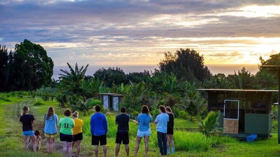 Big Island Farms Tour in Hawaii