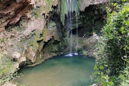 Excursion to the waterfalls & God's Bridge of Akchour