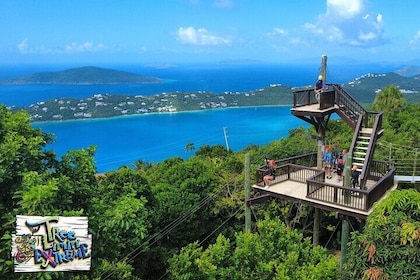Tree Limin' Extreme Zipline