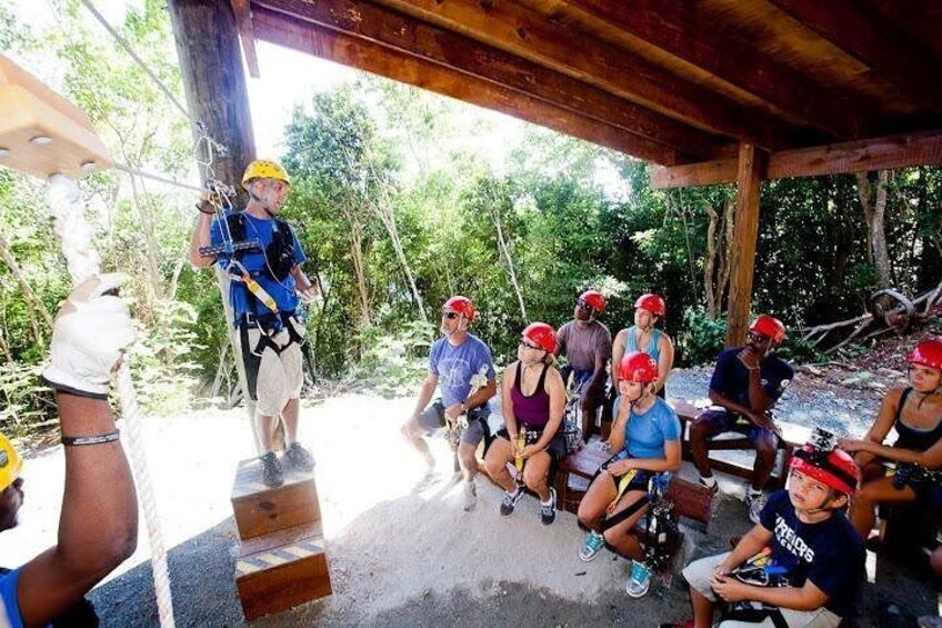 Tree Limin' Extreme Zipline