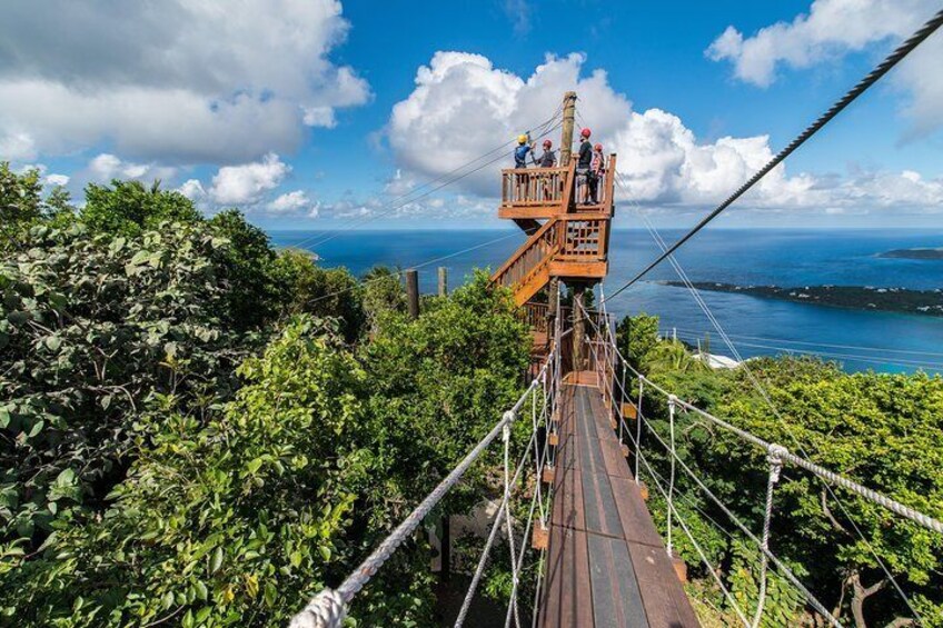 Tree Limin' Extreme Zipline