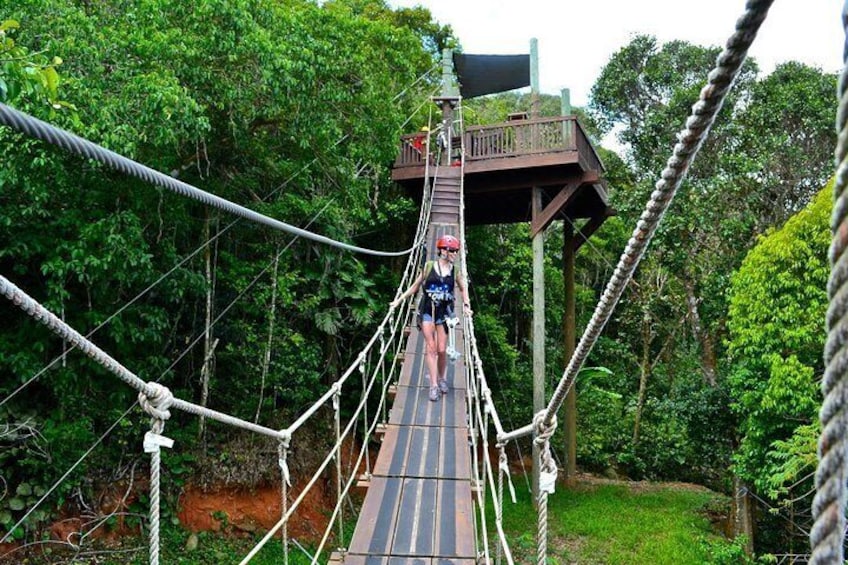 Tree Limin' Extreme Zipline