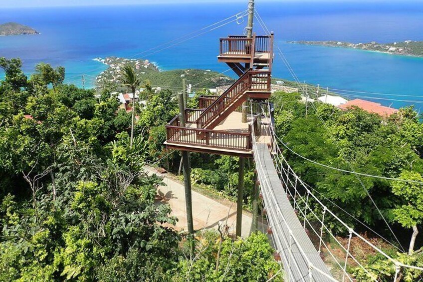 Tree Limin' Extreme Zipline