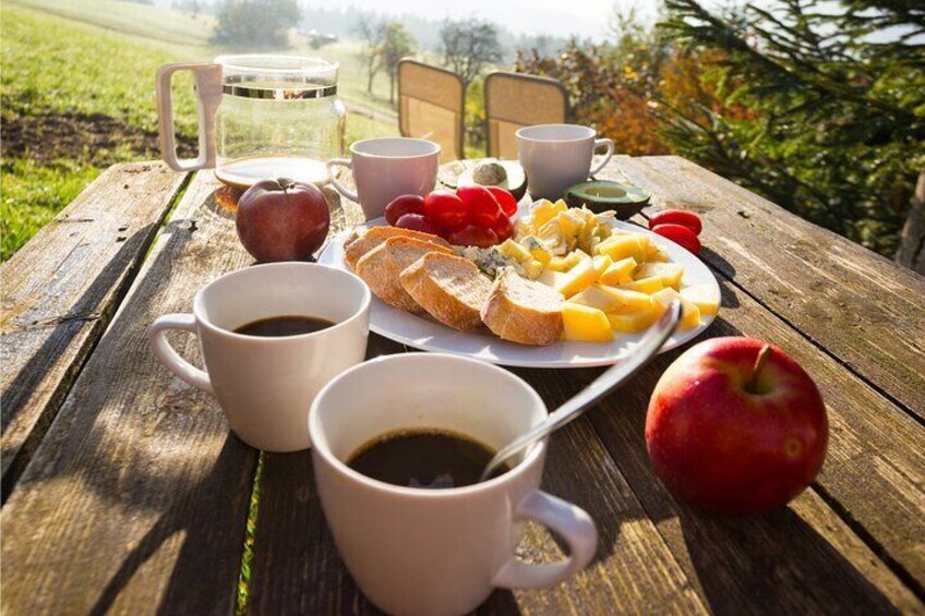 4 Hours Private Sunrise Breakfast Wildlife Safari