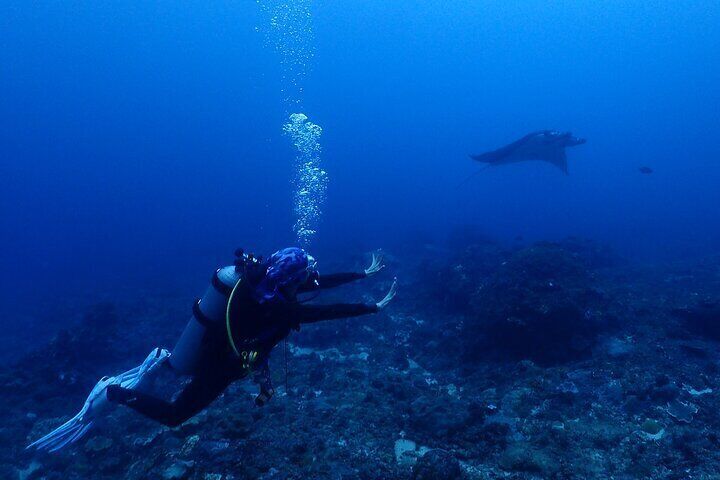 Discover Scuba Diving In Bali