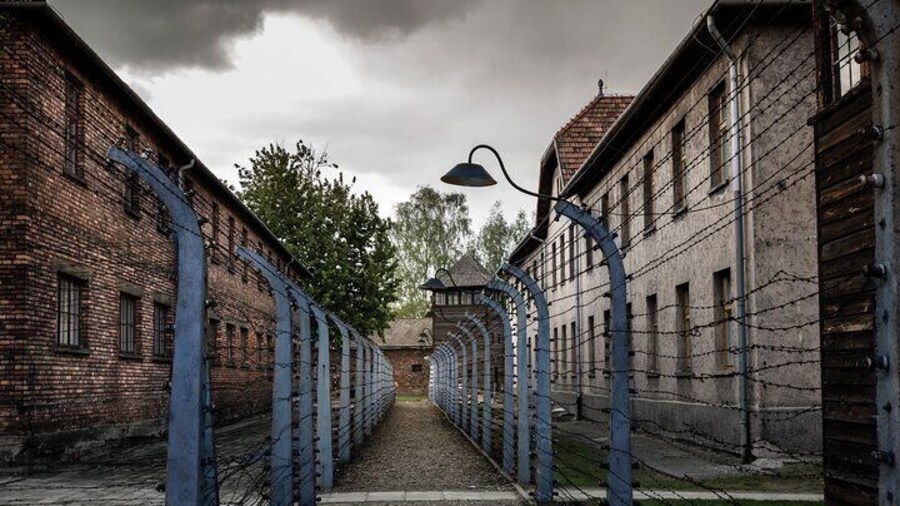 Wire fence - Auschwitz I Museum