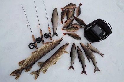 Ice Fishing Trip at Lake Inari
