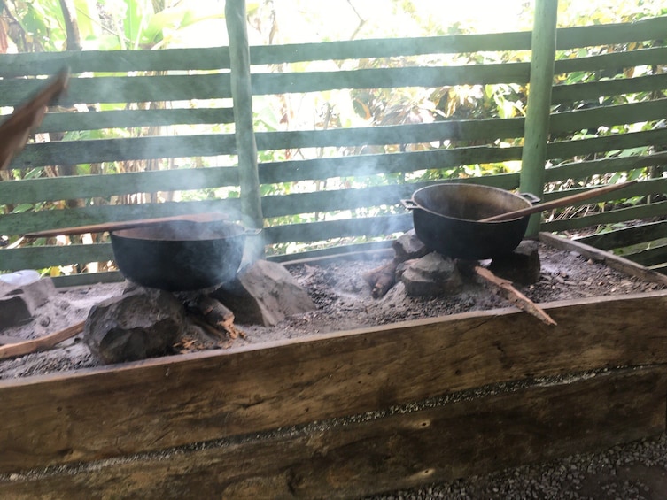 Monkeyland & Plantation Safari from Punta Cana