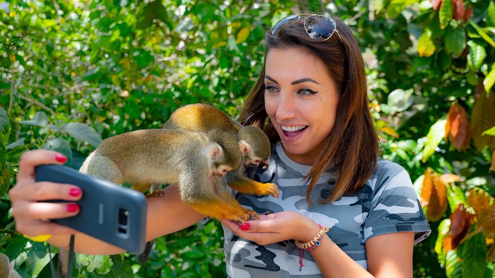 Monkeyland & Plantation Safari from Punta Cana