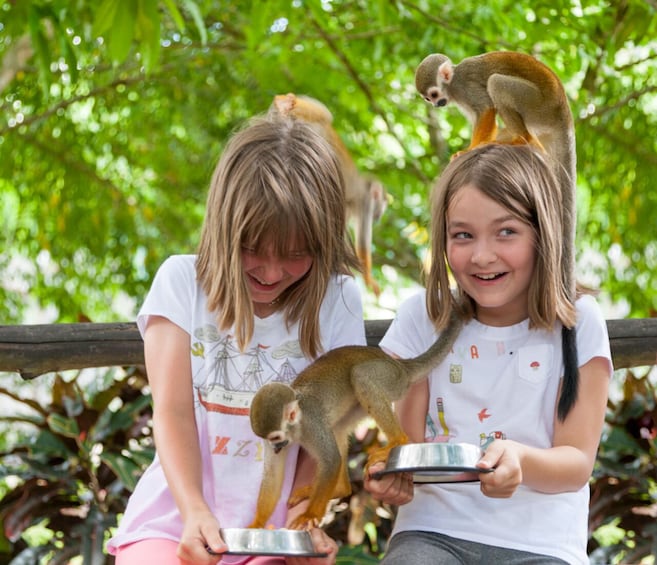 Monkeyland & Plantation Safari from Punta Cana