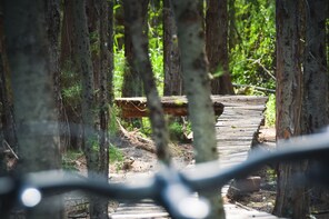 North Shore Bike Park