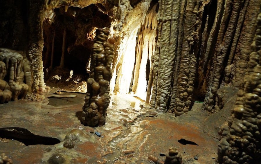 Caves of Genova Admission