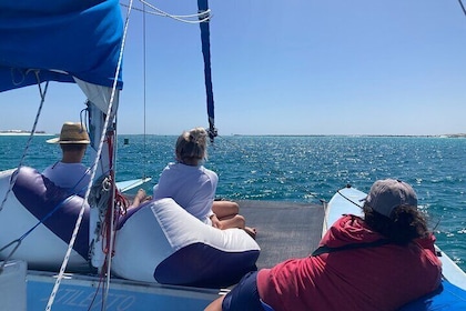 Destin Private Catamaran: Simning & Crab Island Tour 3 timmar