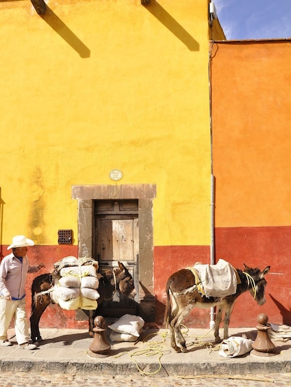 San Miguel de Allende Day Trip from Mexico City