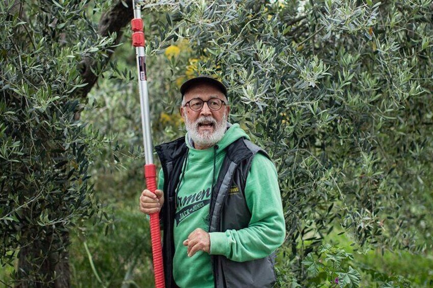 Food and Wine Tour between the Patriarchs Olives and the Oil Temples