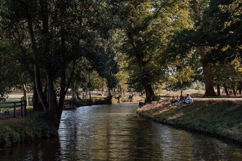 Private | Oxford University Punting Tour Led By University Students