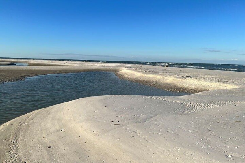 2-Hour Florida Sand Bar Shelling Guided Tour