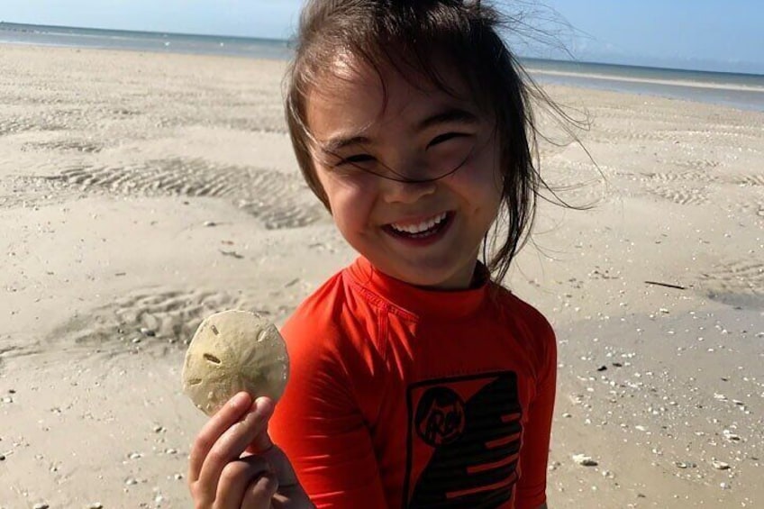 2-Hour Florida Sand Bar Shelling Guided Tour