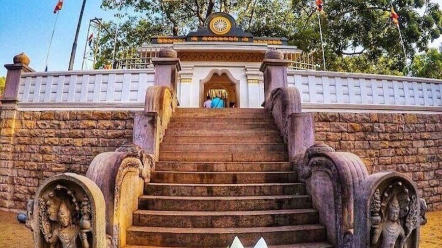 Jaya sri maha Bodhi tree