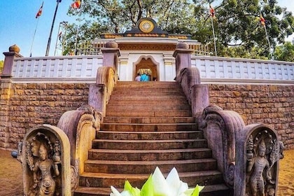 One Day Tour - Sacred city of Anuradhapura & Sacred city of Mihintale. (Sun...
