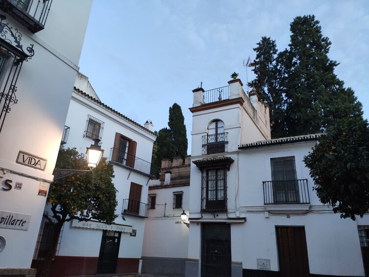 Enchanted Seville Walking Tour: Legends and Mysteries