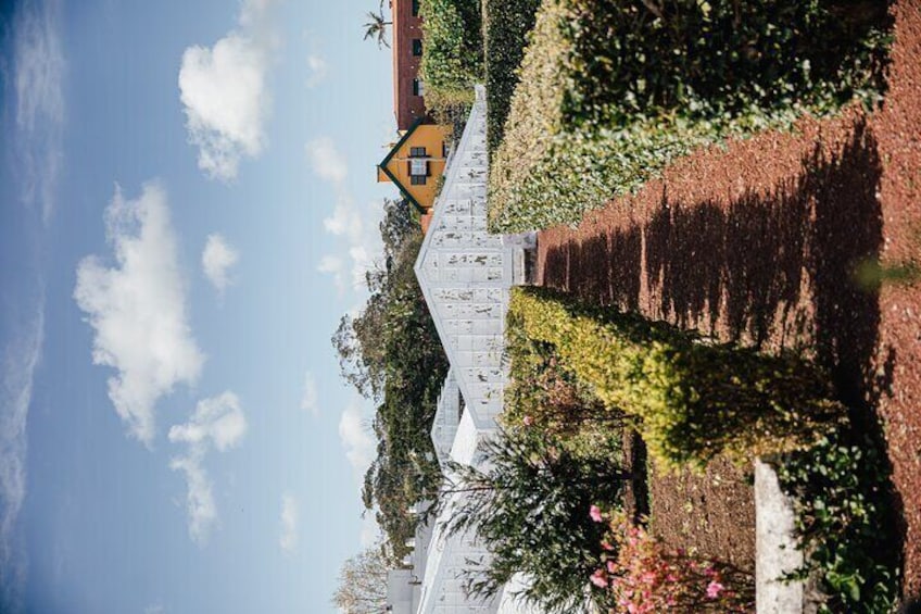 Hot Water Pool Bath Inside Pineapple Plantation in Portugal