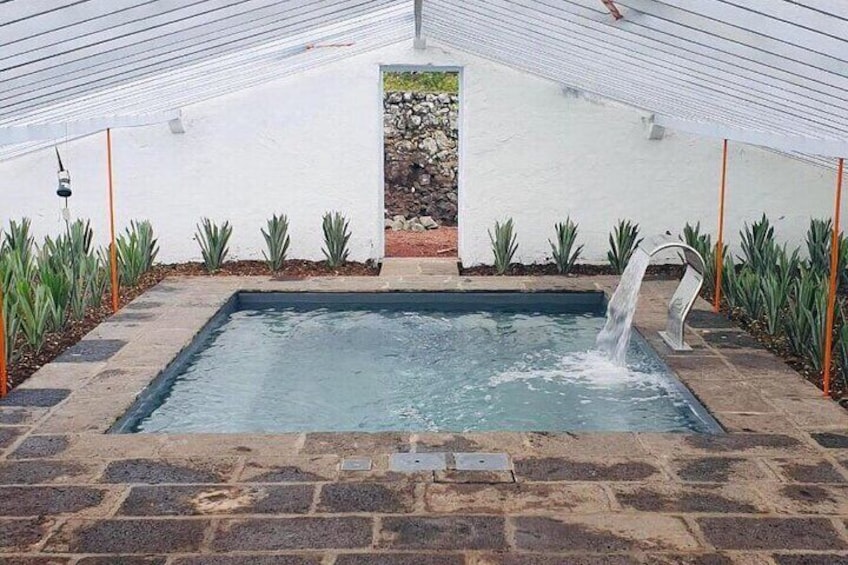 Hot Water Pool Bath Inside Pineapple Plantation in Portugal