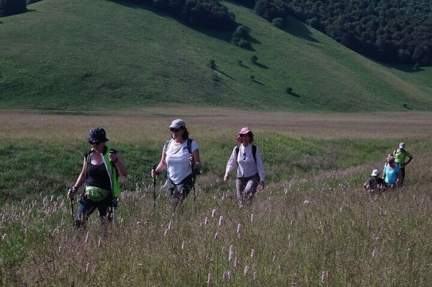 4-Hour Guided Peaceful and Relaxing Hiking Tour Around Norcia